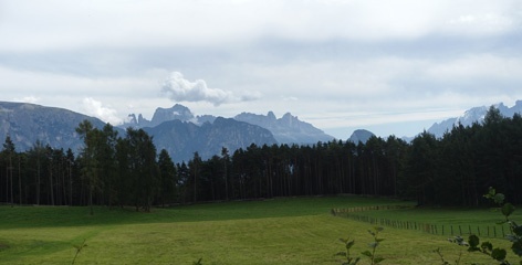 DSC06316a